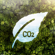 Réduction de notre impact carbone : déjà -32% entre 2019 et 2023 !